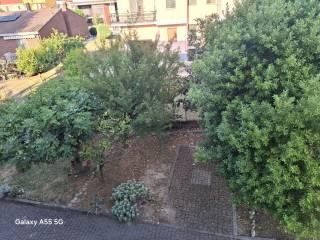 Trilocale via San Tommaso D'Aquino, Cittadella - Villaggio Dalmazia, Novara