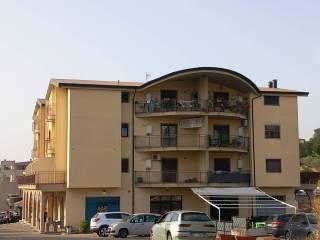 Trilocale Contrada Petraro, Petraro, Rose