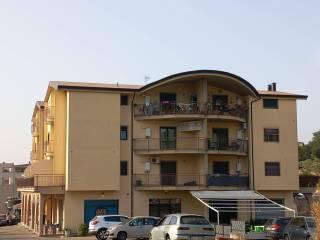 Trilocale Contrada Petraro, Petraro, Rose — foto 3 di 4