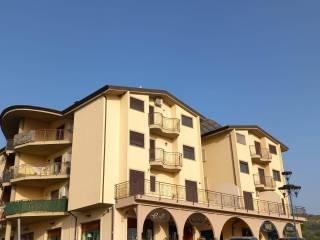 Trilocale Contrada Petraro, Petraro, Rose — foto 2 di 4
