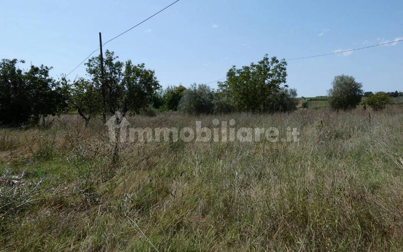 Villa unifamiliare via del Piano, Pontorme - Cortenuova, Empoli — foto 29 di 70