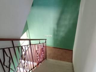 Villa bifamiliare Strada dell'Angelo Custode, Ledimar - Baratoff, Pesaro — foto 10 di 19