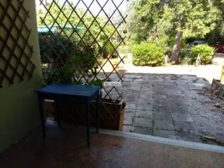 Villa bifamiliare Strada dell'Angelo Custode, Ledimar - Baratoff, Pesaro — foto 11 di 19