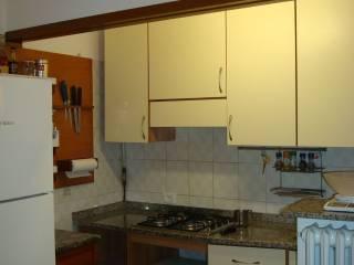 Stanza singola viale Livio Salinatore 49, Forlì — foto 4 di 13