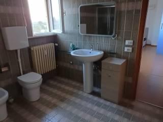 Stanza singola viale dell'Appennino 213, Forlì — foto 8 di 10