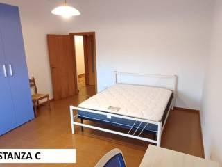 Stanza singola viale dell'Appennino 213, Forlì — foto 2 di 10