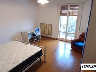 Stanza singola viale dell'Appennino 213, Forlì — foto 7 di 10