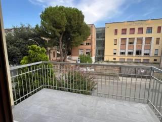 Stanza singola via Giacomo della Torre 2, Forlì — foto 4 di 18
