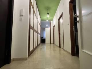 Stanza singola via Giacomo della Torre 2, Forlì — foto 7 di 18