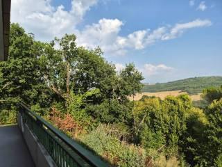 Villa unifamiliare Località Orbo, Penna in Teverina — foto 20 di 23
