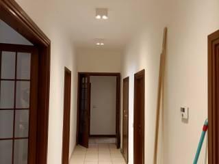 Stanza in affitto in casa indipendente via Icilio Guareschi, 4, Parma — foto 5 di 12