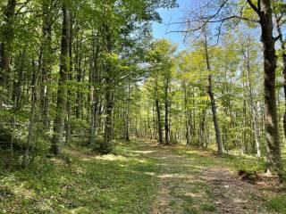 Quadrilocale via dei Gerani 3, Valle Del Sole, Pizzoferrato — foto 17 di 20