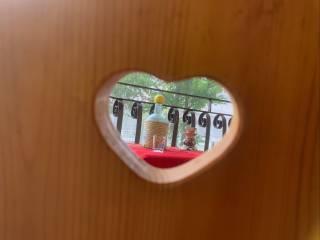 Quadrilocale via dei Gerani 3, Valle Del Sole, Pizzoferrato — foto 18 di 20