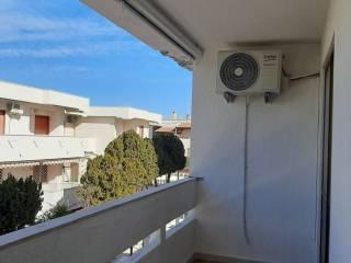 Quadrilocale via Pietra, Torre Mileto, Lesina — foto 6 di 6