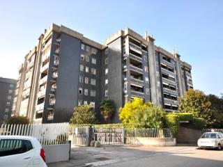 Attico via Gorizia 52/g, Cittadella - Villaggio Dalmazia, Novara — foto 16 di 20