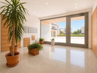 Trilocale via Antonio Scopelliti 68, Popilia - Vagliolise, Cosenza — foto 8 di 33