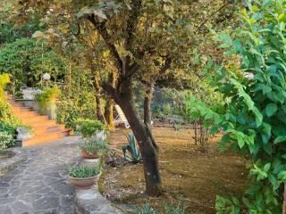 Villa unifamiliare 210 m², Centro, Amelia — foto 7 di 64
