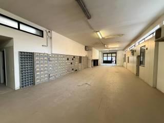 Terratetto unifamiliare via Demetrio Martinelli 1, Santa Viola, Bologna — foto 4 di 10