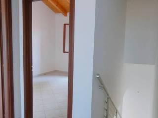 Villa a schiera via Rettilineo, Garofolo, Canaro — foto 16 di 26