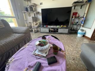 Quadrilocale via Provinciale, Crespellano, Valsamoggia — foto 4 di 16