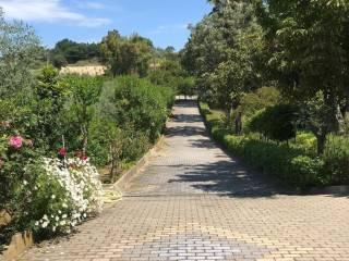 Casale Località Lido le Morge 61, Torino di Sangro — foto 14 di 15