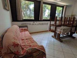 Stanza in affitto in appartamento via Noferini, Forlì — foto 33 di 51