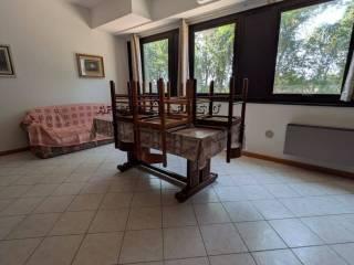 Stanza in affitto in appartamento via Noferini, Forlì — foto 36 di 51
