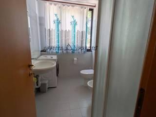 Stanza in affitto in appartamento via Noferini, Forlì — foto 7 di 51