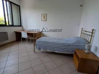 Stanza in affitto in appartamento via Noferini, Forlì — foto 2 di 51