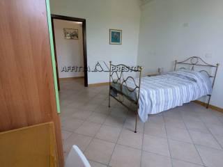 Stanza in affitto in appartamento via Noferini, Forlì — foto 29 di 51