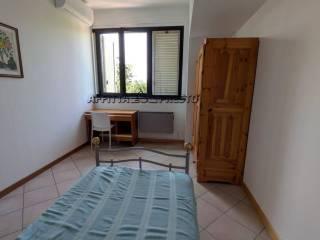 Stanza in affitto in appartamento via Noferini, Forlì — foto 20 di 51
