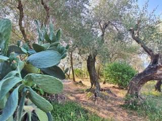 Trilocale via Luigi Bernabò Brea 47, Centro, Zoagli — foto 14 di 28