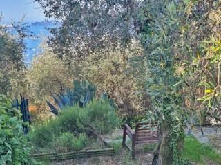 Trilocale via Luigi Bernabò Brea 47, Centro, Zoagli — foto 22 di 28