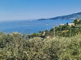 Trilocale via Luigi Bernabò Brea 47, Centro, Zoagli — foto 16 di 28