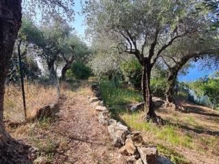 Trilocale via Luigi Bernabò Brea 47, Centro, Zoagli — foto 6 di 28