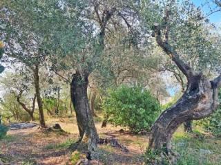 Trilocale via Luigi Bernabò Brea 47, Centro, Zoagli — foto 26 di 28
