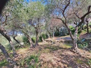 Trilocale via Luigi Bernabò Brea 47, Centro, Zoagli — foto 24 di 28