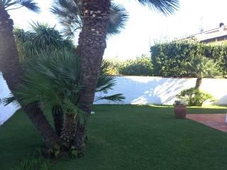 Appartamento via Frangipane 33, Centro, San Felice Circeo — foto 8 di 12