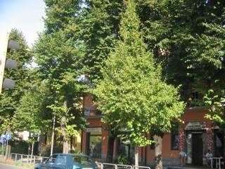 Monolocale via Pio IX, Centro, San Giovanni in Persiceto — foto 4 di 14
