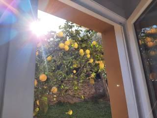 Appartamento in villa via G. Macera 25c, Porto, Rapallo