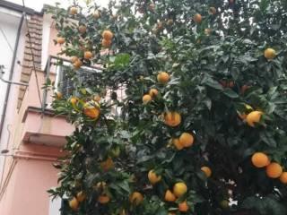Bilocale piazza Campinola, Campinola, Tramonti — foto 13 di 19
