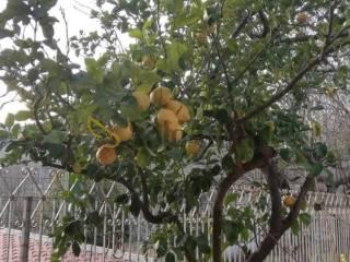 Bilocale piazza Campinola, Campinola, Tramonti — foto 7 di 19