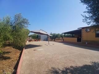 Villa bifamiliare Contrada Camemi Superiore, Ribera — foto 6 di 17