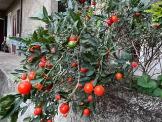 Bilocale via Mirasole 8, Laveno, Laveno-Mombello — foto 14 di 20