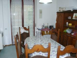 Stanza singola viale Domenico Bolognesi 9, Forlì — foto 9 di 9