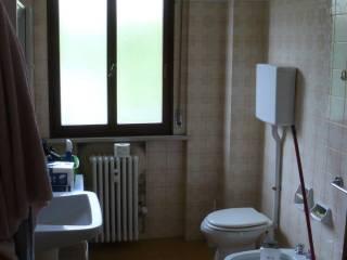 Stanza singola viale Domenico Bolognesi 9, Forlì — foto 8 di 9