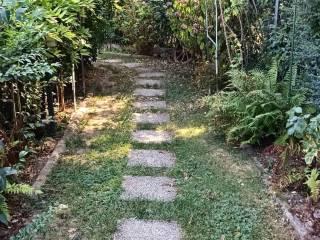 Appartamento in villa via Piave, Carità, Lancenigo, Villorba — foto 20 di 26