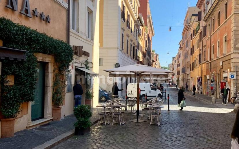 Loft Borgo Pio, Borgo, Roma — foto 16 di 16