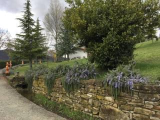 Appartamento Località Molli 68, Melazzo — foto 4 di 8