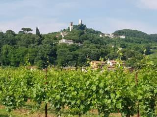 Terratetto unifamiliare via Papa Giovanni XXIII 18, Centro, Brendola — foto 3 di 20